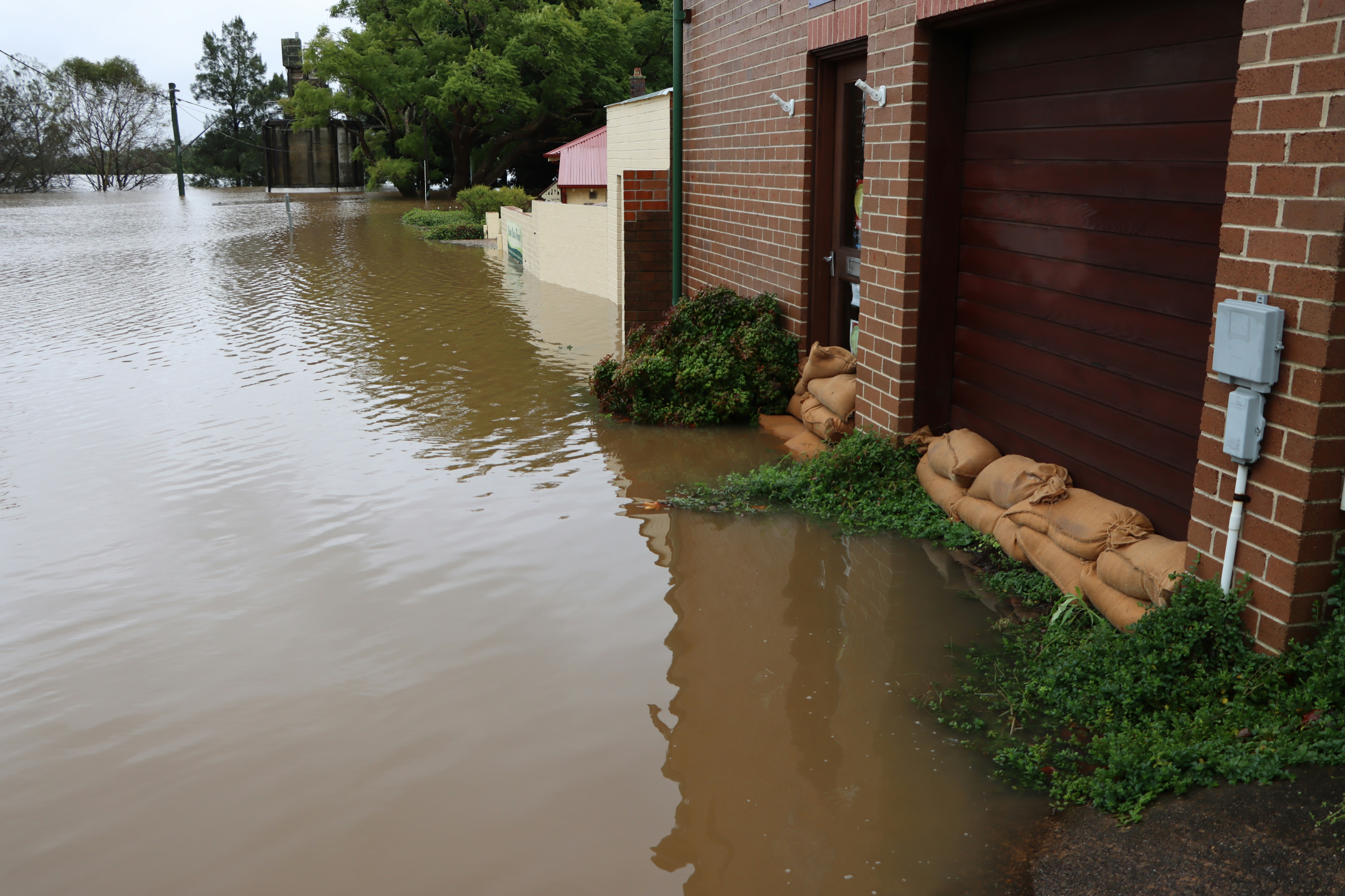 Dealing with a Flooded Basement in Dearborn? Best Option Restoration Has You Covered