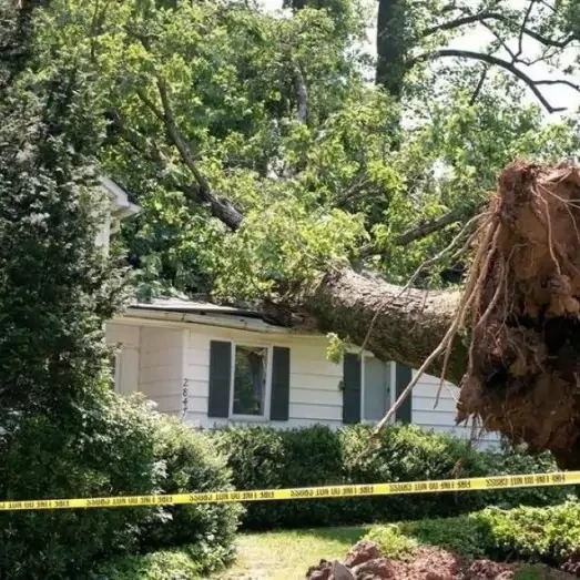 Storm & Wind Damage Repair Services in Grosse Pointe, MI